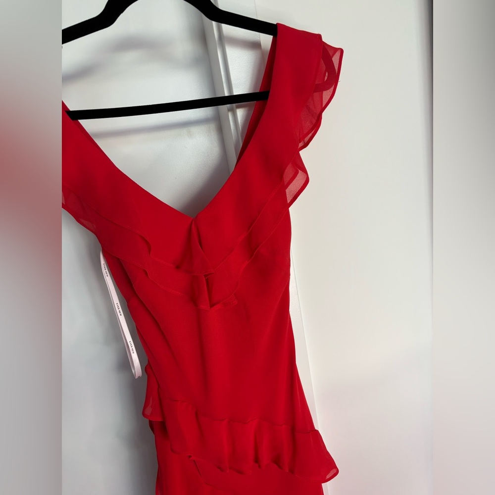 Ever New Ruffle Gown - Picture 5 of 6